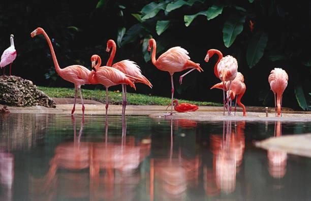 Agriturismo Oasis La Sdriscia Екстер'єр фото